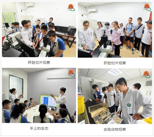 微信图片_20240710074609.jpg